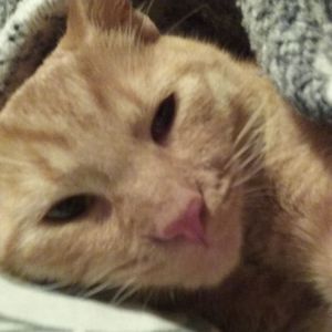 Meet your Posher, Tammy